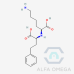 N2-(S)-1-Carboxy-3-phenylpropyl-L-
lysine