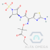 Aztreonam Ethyl Ester