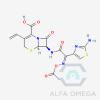O-Acetyl Cefdinir